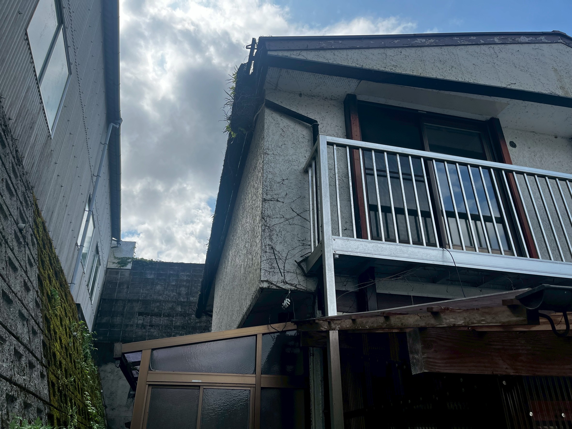 作業前のツタがびっしり生えている外壁の様子